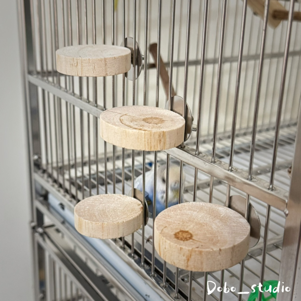 鳥我一下好嗎🍀木墩小跳台 圓形小跳板 跳台 跳板 虎皮鸚鵡 小跳台 倉鼠樓梯 倉鼠造景玩具 木踏板 原木站台 倉鼠玩具-細節圖7