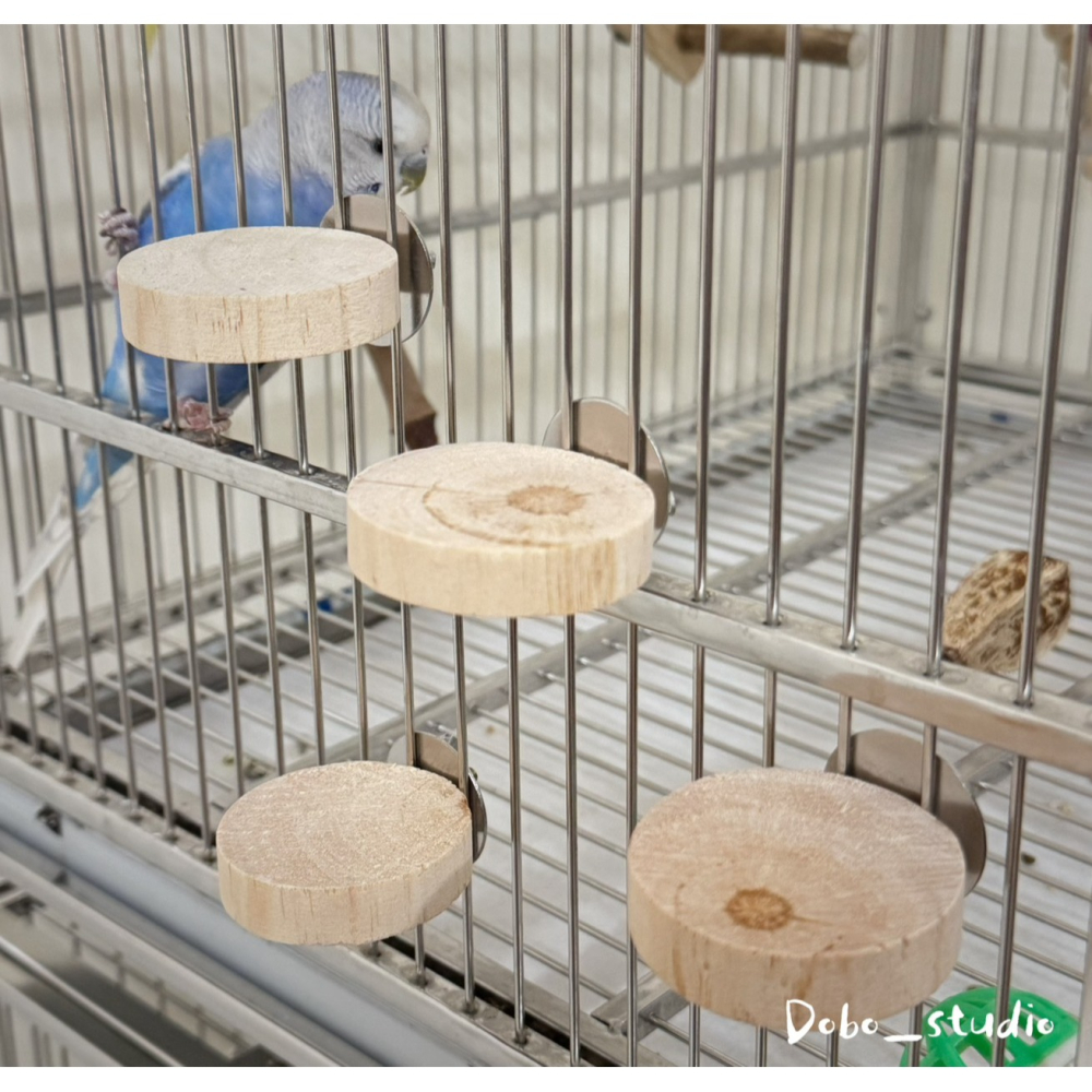 鳥我一下好嗎🍀木墩小跳台 圓形小跳板 跳台 跳板 虎皮鸚鵡 小跳台 倉鼠樓梯 倉鼠造景玩具 木踏板 原木站台 倉鼠玩具-細節圖8