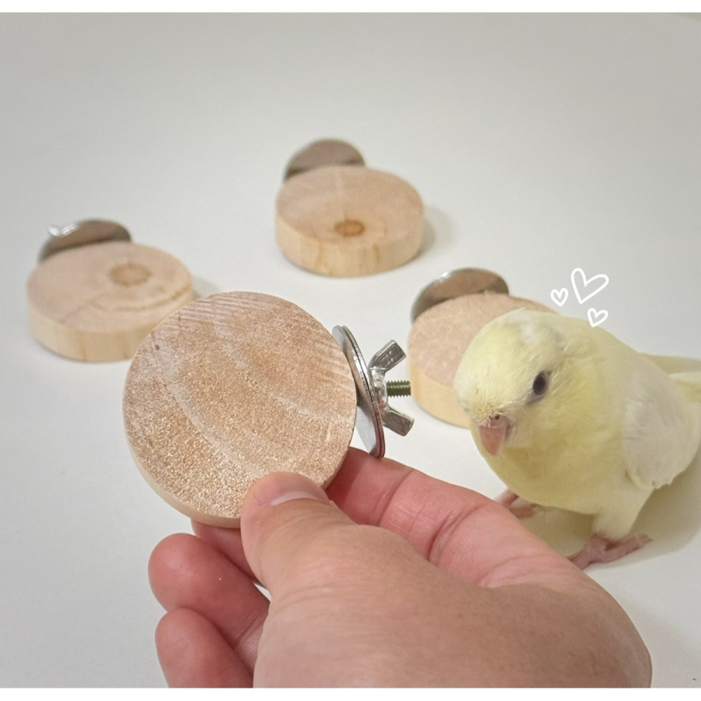 鳥我一下好嗎🍀木墩小跳台 圓形小跳板 跳台 跳板 虎皮鸚鵡 小跳台 倉鼠樓梯 倉鼠造景玩具 木踏板 原木站台 倉鼠玩具-細節圖9
