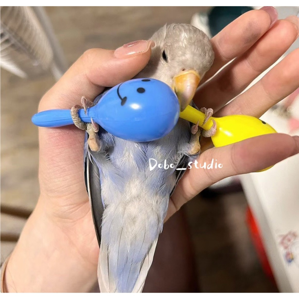 鳥我一下好嗎🍀鸚鵡手拿搖鈴 鸚鵡玩具沙槌 小沙槌 凱克 灰鸚鵡 虎皮鸚鵡 樂器 吸蜜 牡丹 手搖鈴 沙錘沙球 奧福音樂-細節圖8