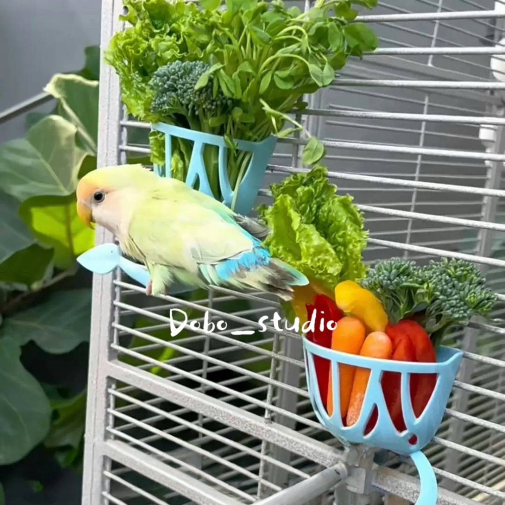 鳥我一下好嗎🍀鸚鵡蔬果籃子 鸚鵡啃咬覓食籃 多功能蔬果籃 蔬果籃站架 果實蔬菜架 鸚鵡水果架 覓食玩具 零食架食物籃-細節圖2