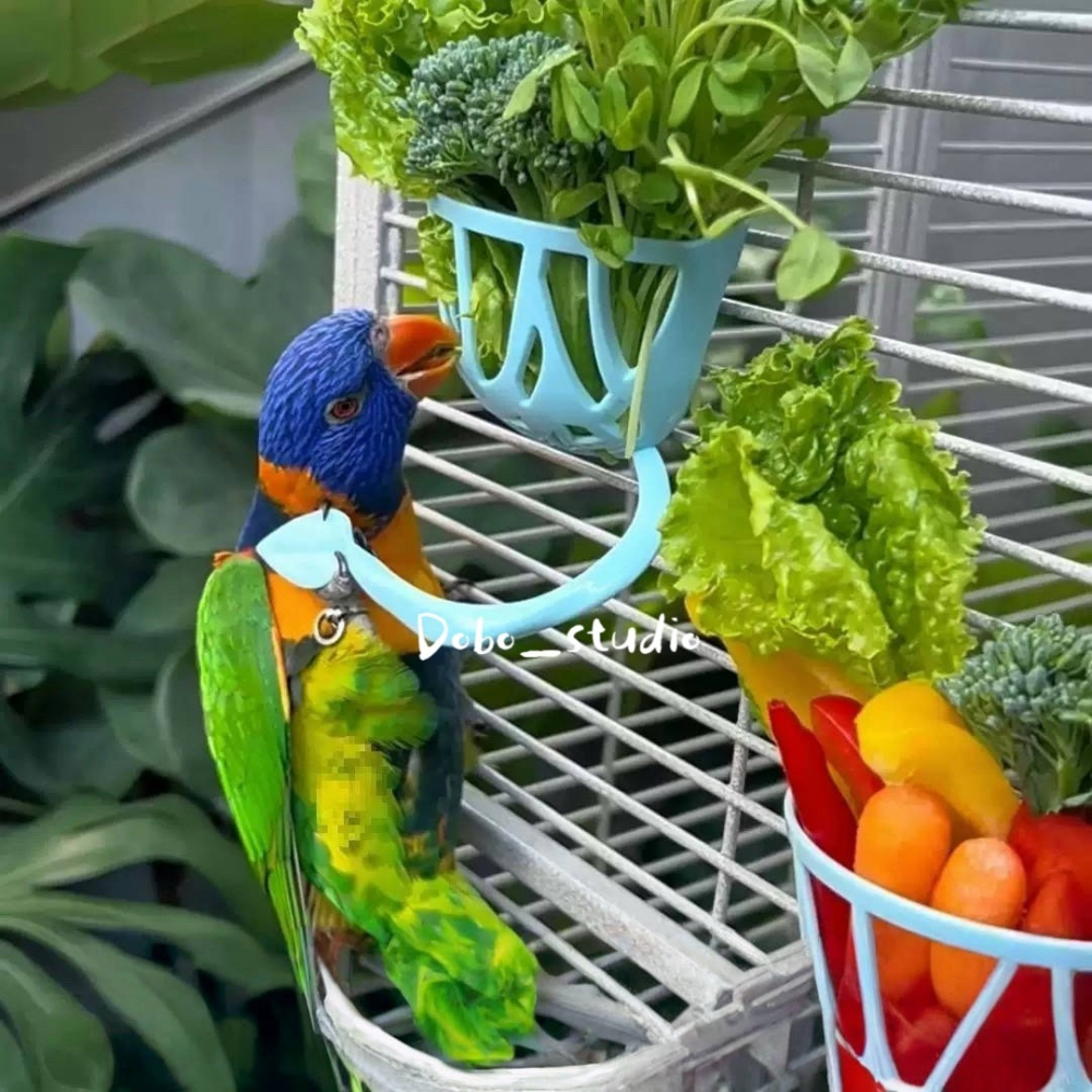 鳥我一下好嗎🍀鸚鵡蔬果籃子 鸚鵡啃咬覓食籃 多功能蔬果籃 蔬果籃站架 果實蔬菜架 鸚鵡水果架 覓食玩具 零食架食物籃-細節圖8
