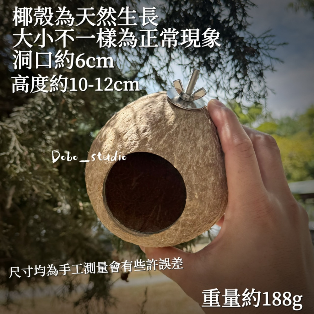 鳥我一下好嗎🍀天然椰子殼窩 夏季寵物小窩 椰子殼躲避屋 椰子殼 寵物窩 樹洞樹窩 倉鼠睡窩 繁殖小窩 創意鳥窩 文鳥窩-細節圖2