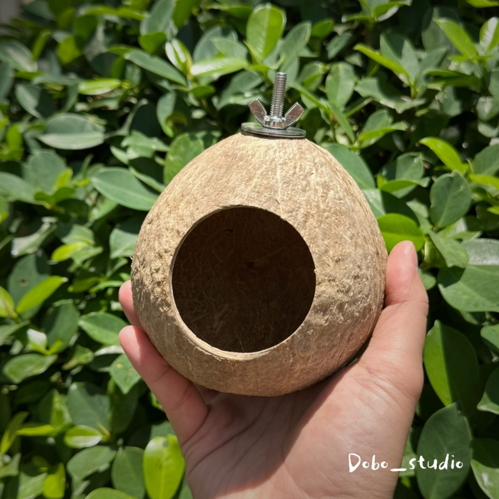鳥我一下好嗎🍀天然椰子殼窩 夏季寵物小窩 椰子殼躲避屋 椰子殼 寵物窩 樹洞樹窩 倉鼠睡窩 繁殖小窩 創意鳥窩 文鳥窩-細節圖4