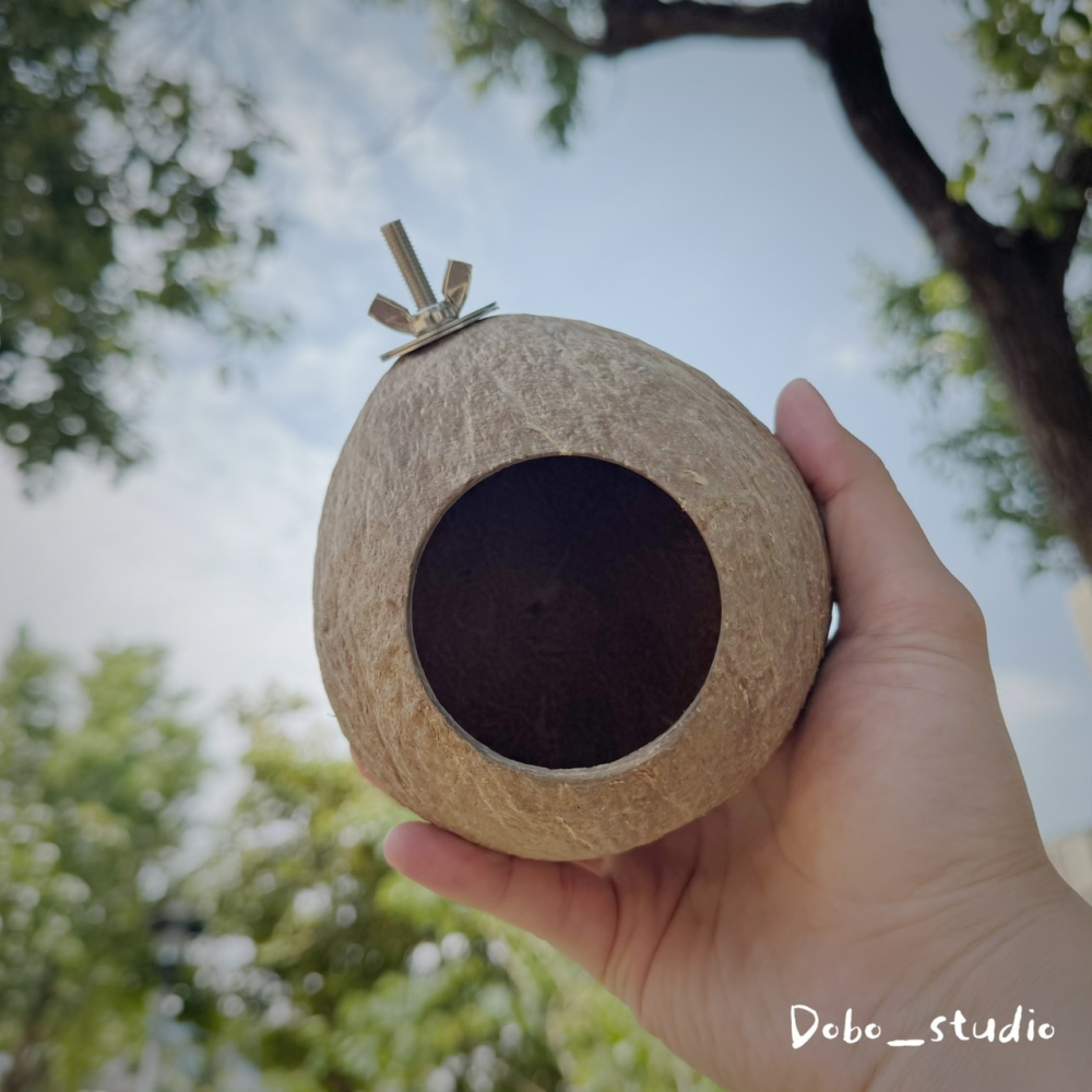 鳥我一下好嗎🍀天然椰子殼窩 夏季寵物小窩 椰子殼躲避屋 椰子殼 寵物窩 樹洞樹窩 倉鼠睡窩 繁殖小窩 創意鳥窩 文鳥窩-細節圖5