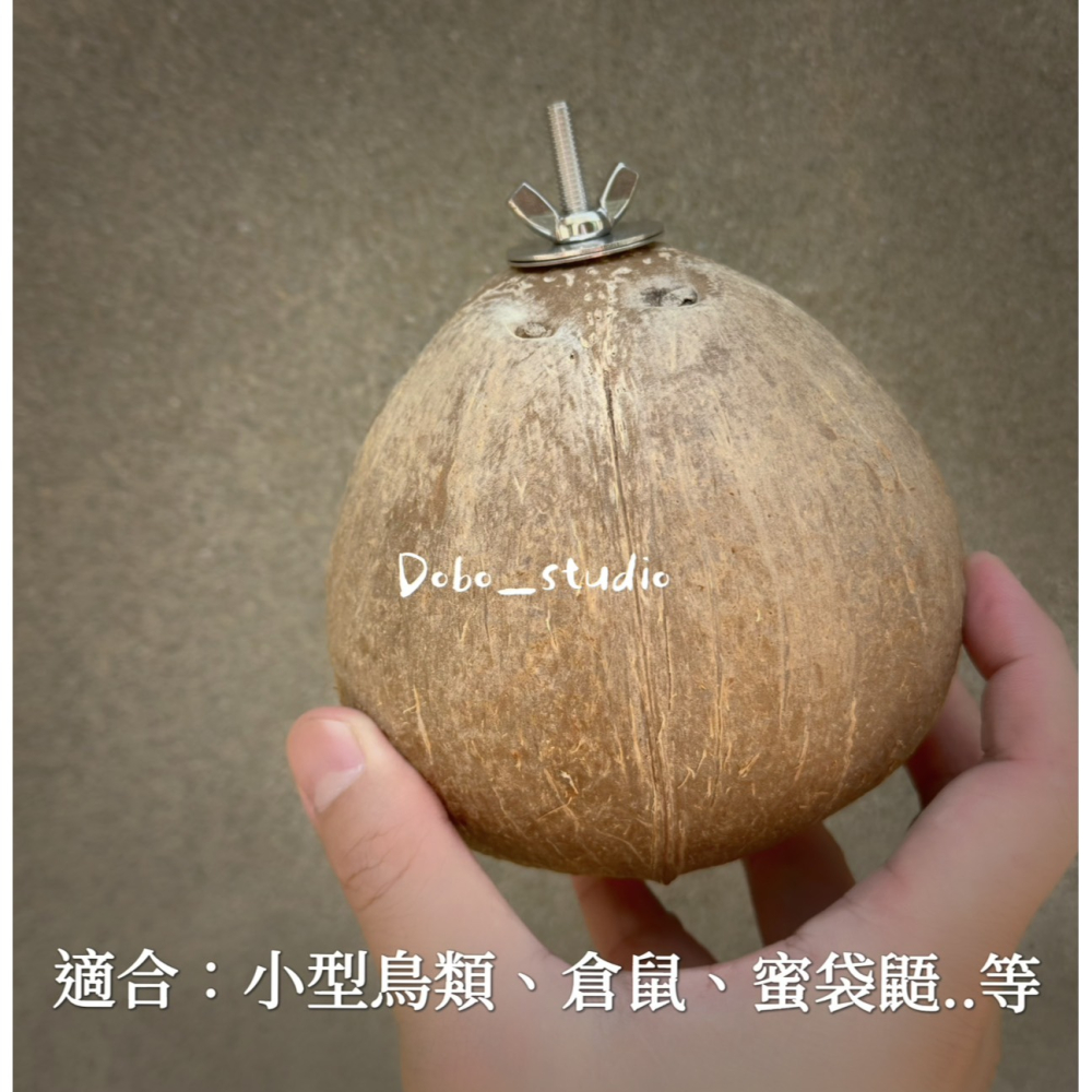 鳥我一下好嗎🍀天然椰子殼窩 夏季寵物小窩 椰子殼躲避屋 椰子殼 寵物窩 樹洞樹窩 倉鼠睡窩 繁殖小窩 創意鳥窩 文鳥窩-細節圖6