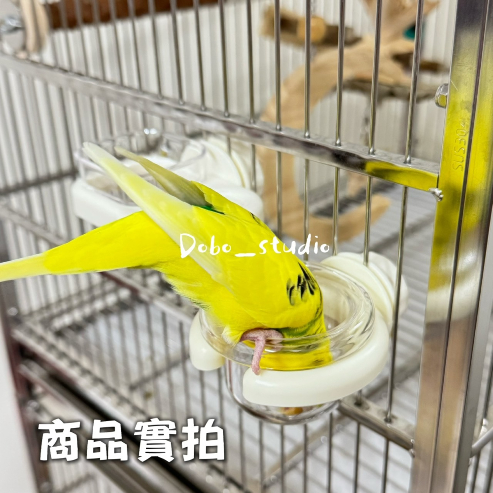 鳥我一下好嗎🍀雲境掛籠餵食碗 餵養盆 鎖頭飼料盆 鳥用飼料杯 下料碗 掛籠飼料喂食器 鳥用品 鸚鵡餵食 虎皮 牡丹鸚鵡-細節圖3