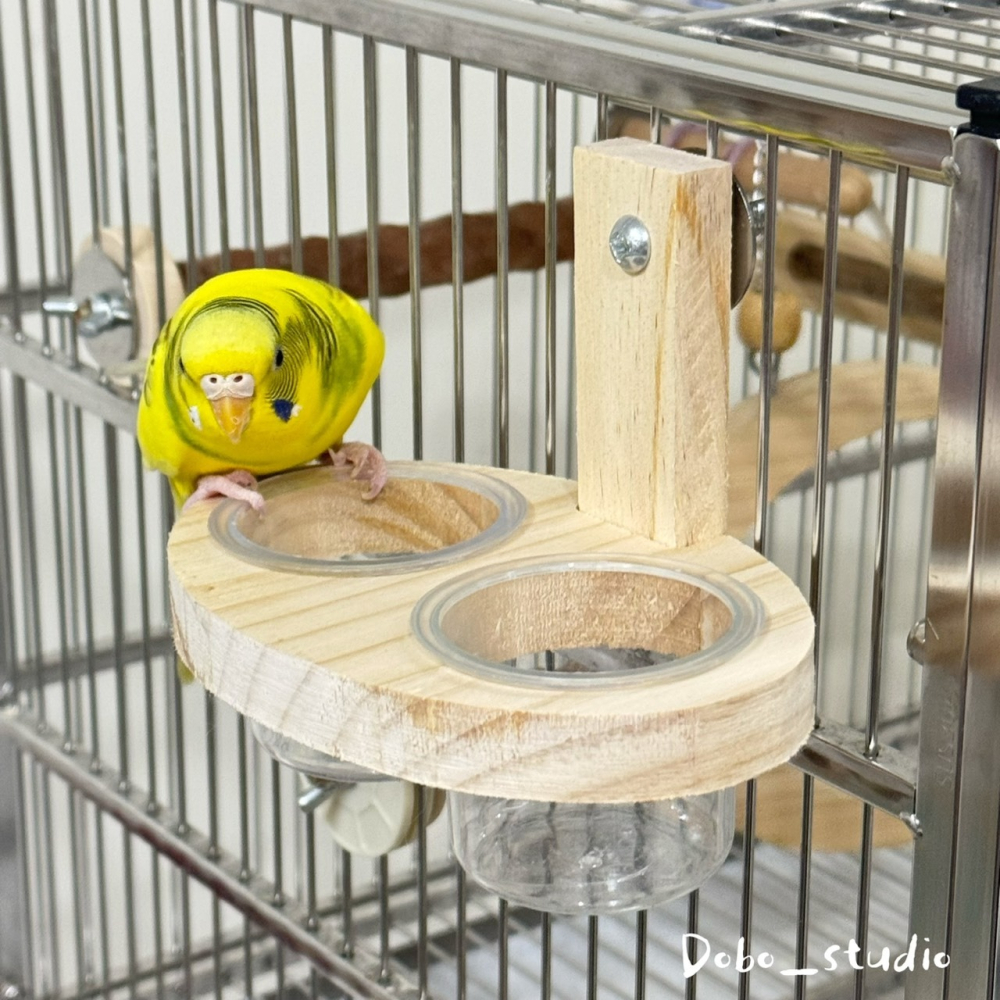 鳥我一下好嗎🍀鸚鵡實木雙杯架 鸚鵡食盆 原木杯架 鸚鵡飼料架 餵食器 鳥籠用品 虎皮 飼料杯架 食盆 小型鸚鵡飼料盒-細節圖4