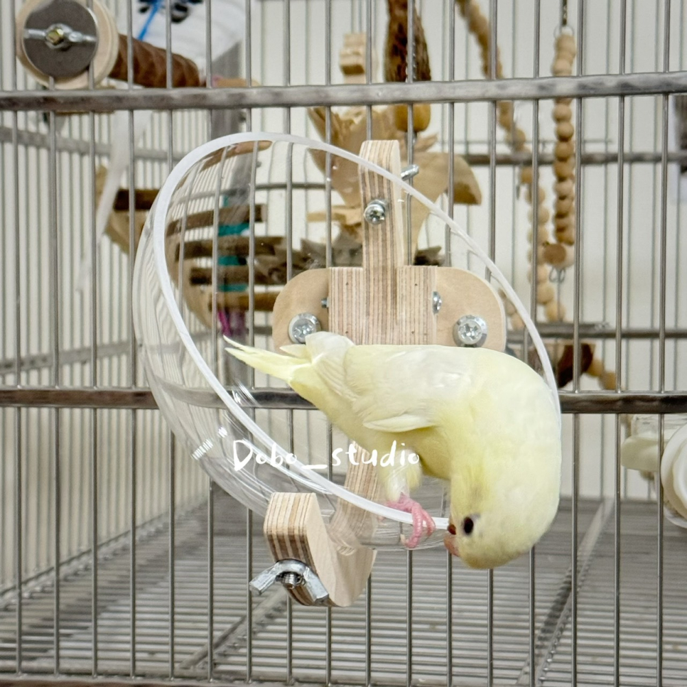 鳥我一下好嗎🍀太空艙鸚鵡窩 鳥巢休息窩 中小鸚鵡窩 小寵專用窩 鳥窩睡窩 鳥巢 虎皮鸚鵡 造景窩 通風鳥窩 夏季鳥吊床-細節圖2