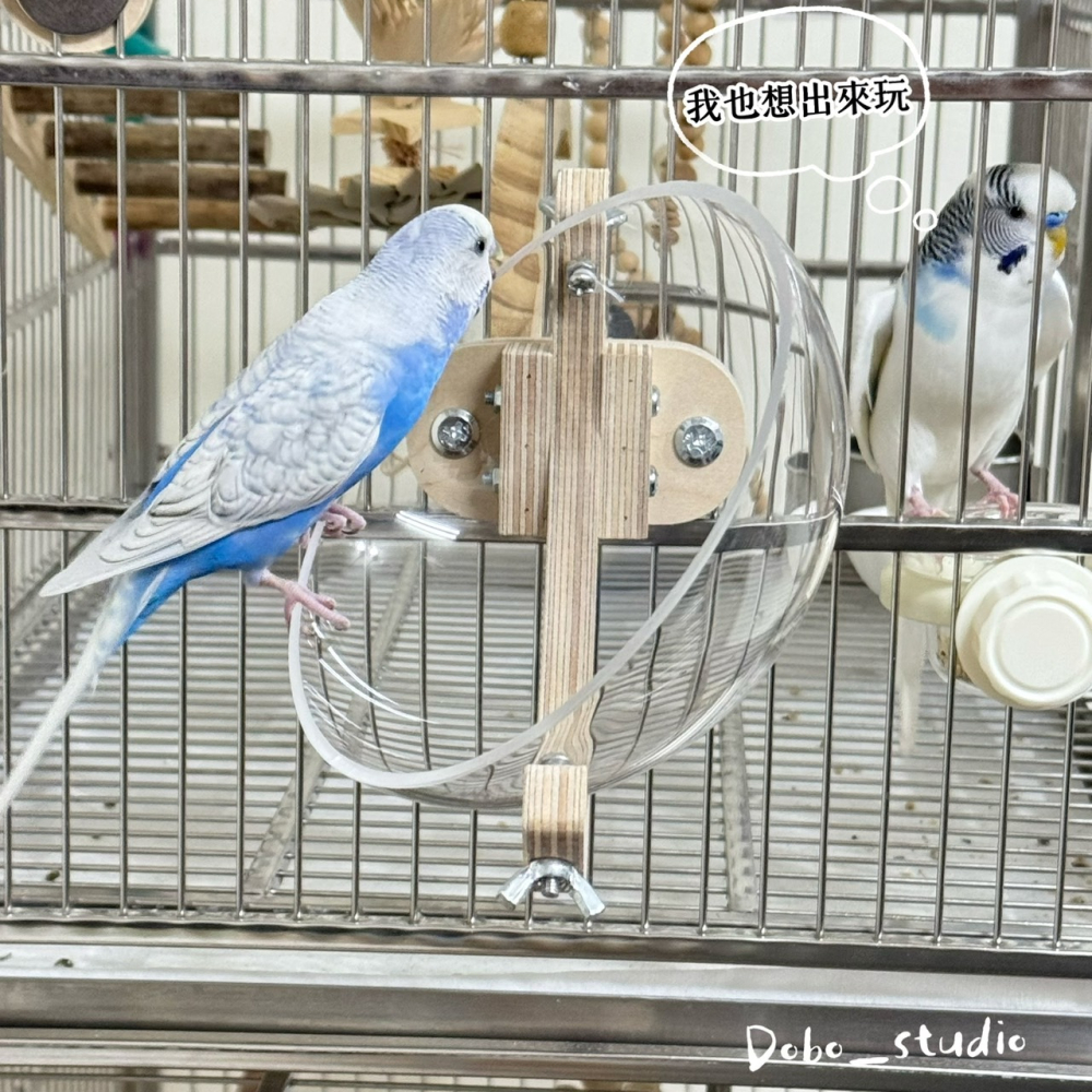 鳥我一下好嗎🍀太空艙鸚鵡窩 鳥巢休息窩 中小鸚鵡窩 小寵專用窩 鳥窩睡窩 鳥巢 虎皮鸚鵡 造景窩 通風鳥窩 夏季鳥吊床-細節圖3
