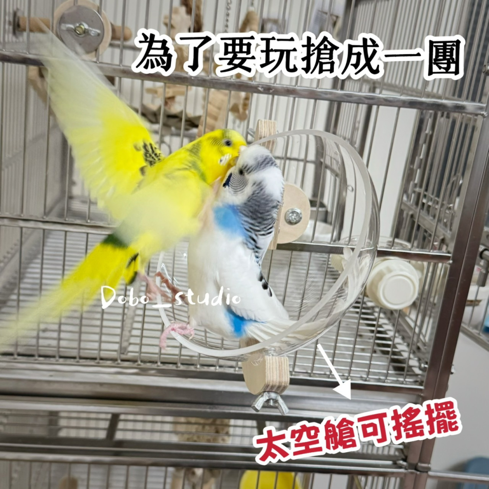 鳥我一下好嗎🍀太空艙鸚鵡窩 鳥巢休息窩 中小鸚鵡窩 小寵專用窩 鳥窩睡窩 鳥巢 虎皮鸚鵡 造景窩 通風鳥窩 夏季鳥吊床-細節圖9