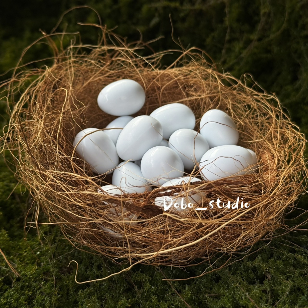 鳥我一下好嗎🍀鸚鵡用假蛋 鸚鵡實心假蛋 金雞蛋 仿真鳥蛋 鸚鵡 替換蛋 虎皮鸚鵡 白蛋 凱克鸚鵡-細節圖2