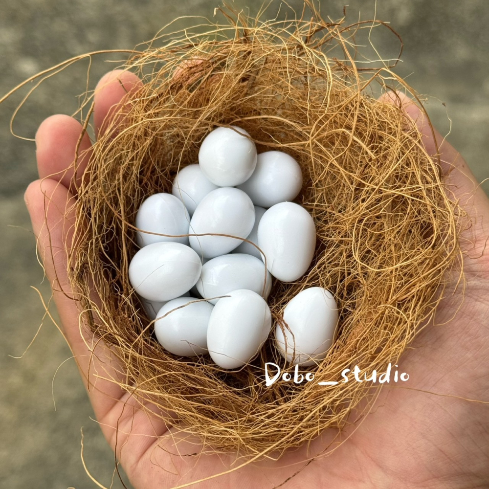 鳥我一下好嗎🍀鸚鵡用假蛋 鸚鵡實心假蛋 金雞蛋 仿真鳥蛋 鸚鵡 替換蛋 虎皮鸚鵡 白蛋 凱克鸚鵡-細節圖3