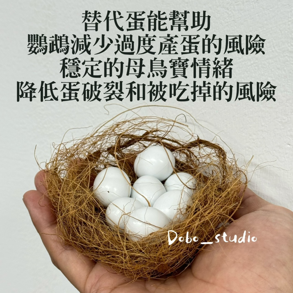 鳥我一下好嗎🍀鸚鵡用假蛋 鸚鵡實心假蛋 金雞蛋 仿真鳥蛋 鸚鵡 替換蛋 虎皮鸚鵡 白蛋 凱克鸚鵡-細節圖4