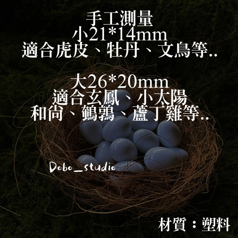 鳥我一下好嗎🍀鸚鵡用假蛋 鸚鵡實心假蛋 金雞蛋 仿真鳥蛋 鸚鵡 替換蛋 虎皮鸚鵡 白蛋 凱克鸚鵡-細節圖6