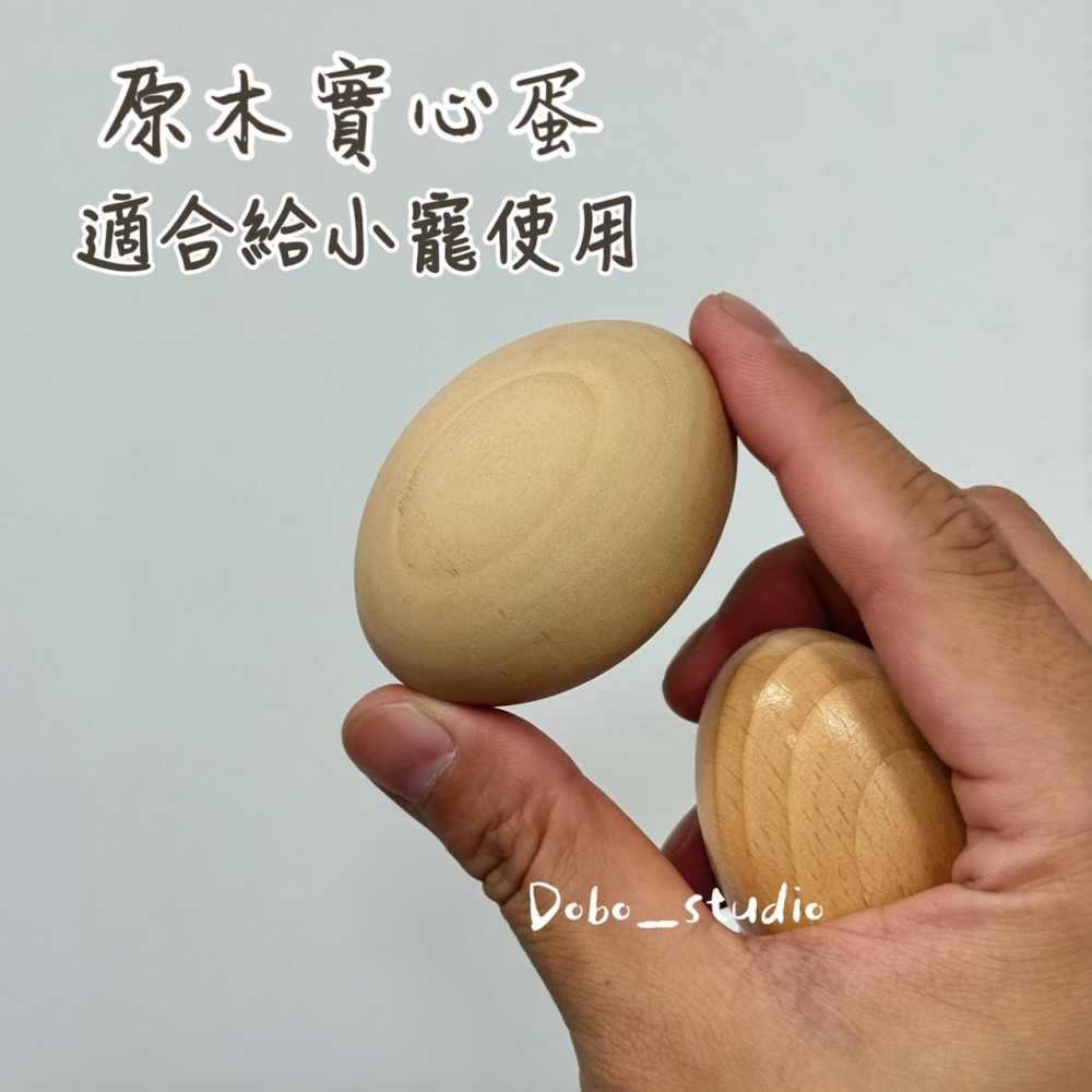 鳥我一下好嗎🍀木質沙沙蛋 原木蛋 原木玩具 木雞蛋 和尚鸚鵡 凱克 折衷 巴丹 畫畫素材 空白蛋 沙沙蛋 鸚鵡抓握 木-細節圖6