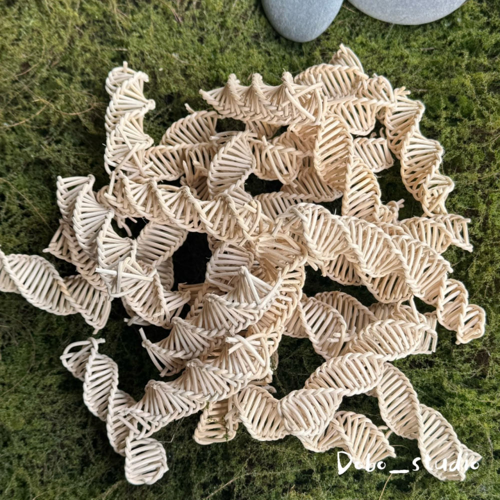 鳥我一下好嗎🍀藤編DNA 鸚鵡草編玩具 藤編啃咬玩具 腳邊藤編玩具 藤編造型玩具 鸚鵡玩具 自嗨解悶 虎皮鸚鵡 蜜袋鼯-細節圖2