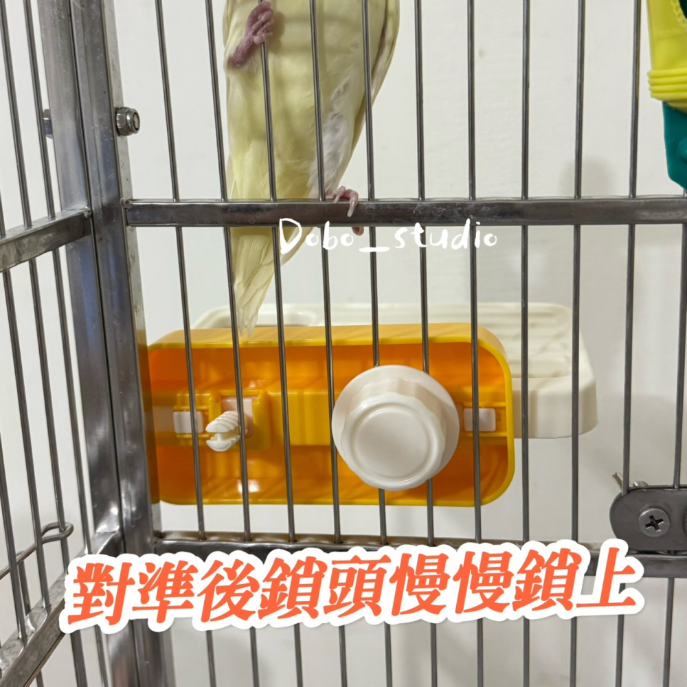 鳥我一下好嗎🍀跳色餵食站台 鸚鵡站板 喂食盒站台 懸掛休息台 中小型鸚鵡專用 文鳥 玄鳳休息站台 蜜袋鼯 倉鼠遊戲台-細節圖3