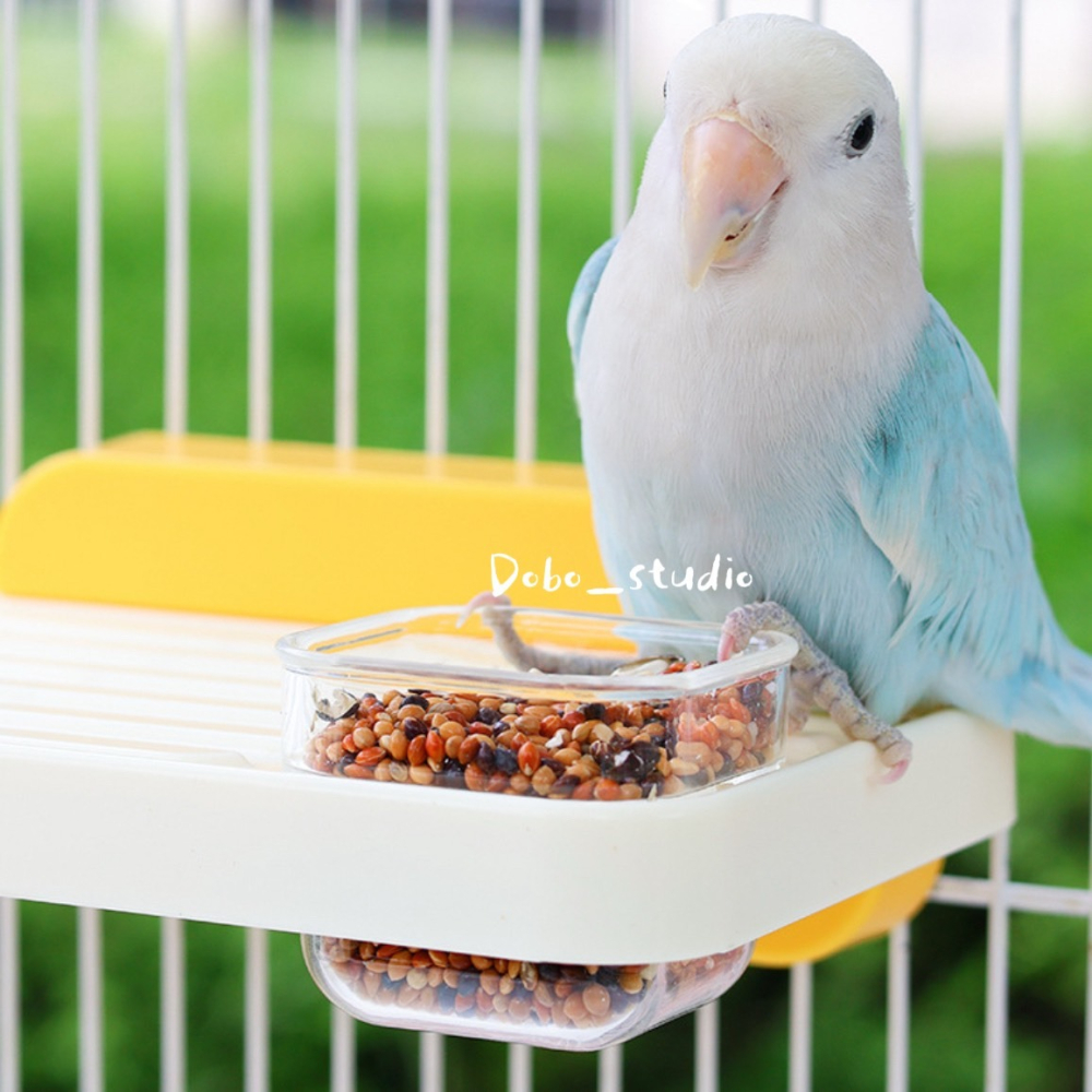 鳥我一下好嗎🍀跳色餵食站台 鸚鵡站板 喂食盒站台 懸掛休息台 中小型鸚鵡專用 文鳥 玄鳳休息站台 蜜袋鼯 倉鼠遊戲台-細節圖8