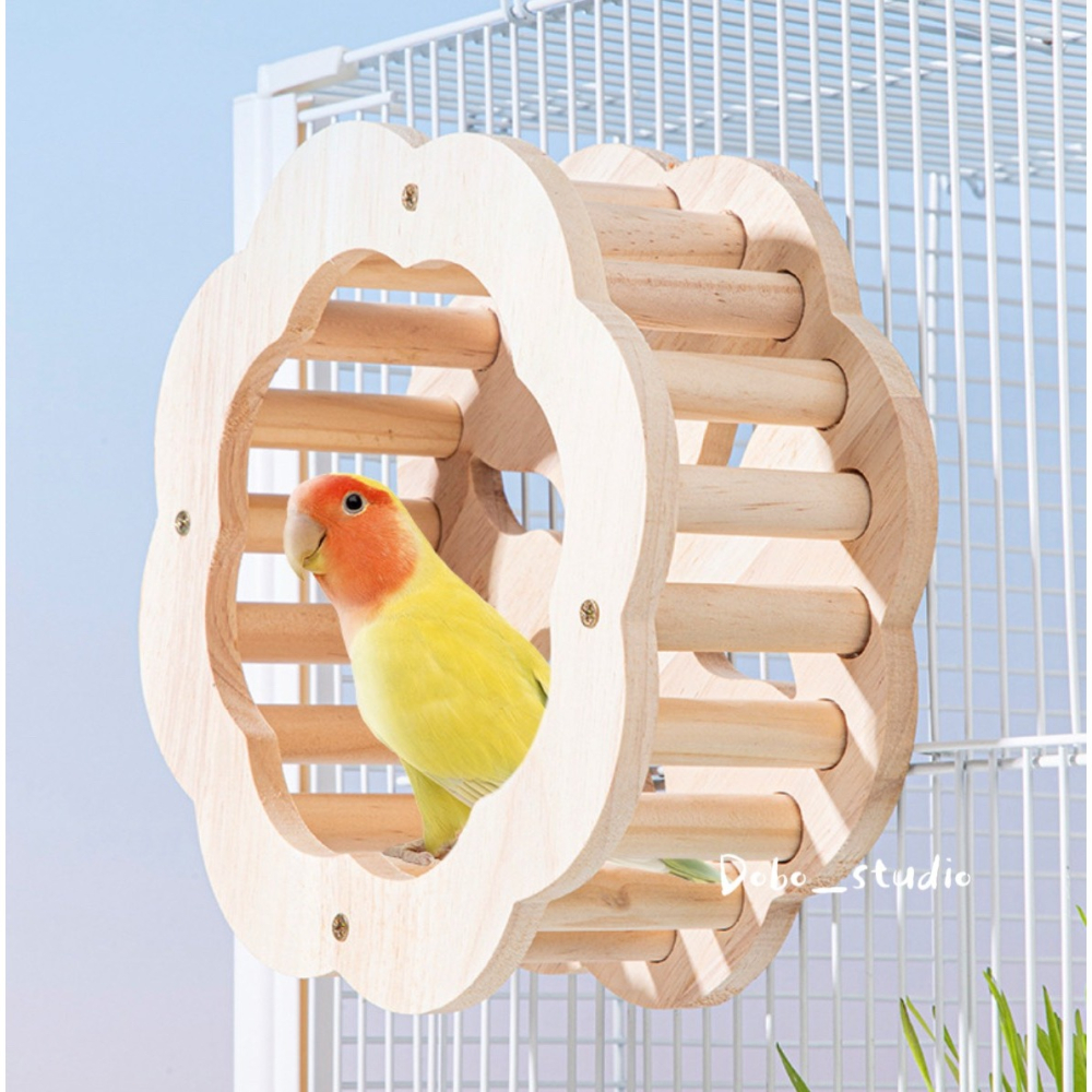 鳥我一下好嗎🍀鸚鵡跑跑輪 鸚鵡滾輪 鸚鵡攀爬架 鸚鵡遊戲架 木質滾輪玩具 虎皮鸚鵡 文鳥 鸚鵡放風玩具 鸚鵡體能訓練-細節圖2