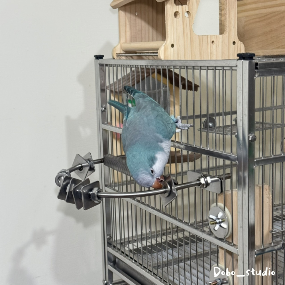 鳥我一下好嗎🍀不鏽鋼零件站棒 多功能站棍 不鏽鋼鳥站棍 鸚鵡DIY配件 玄鳳鸚鵡 小太陽 金太陽 凱克鸚鵡 鳥用解悶-細節圖3
