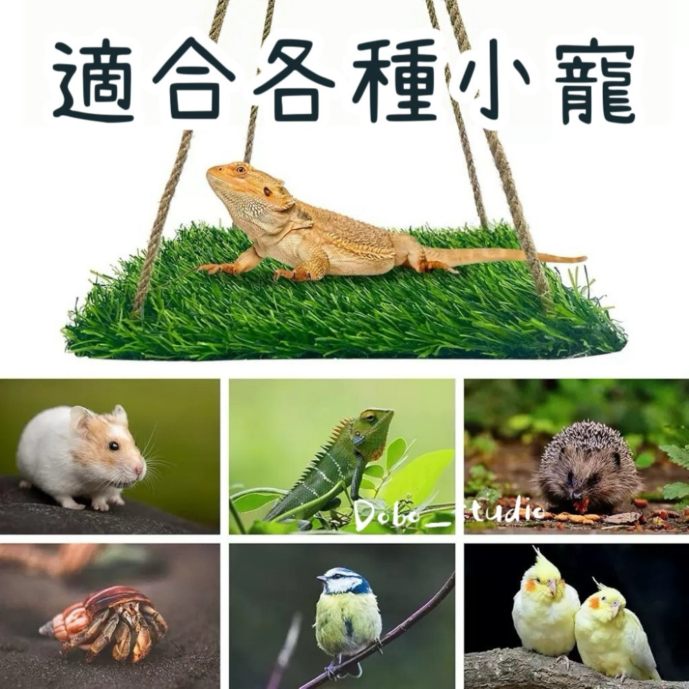鳥我一下好嗎🍀鸚鵡草皮吊床 盪鞦韆草皮吊床 爬蟲玩具 小寵盪鞦韆 夏季涼墊 攀爬草皮鞦韆 鞦韆休息平台 爬蟲床 人造草-細節圖5