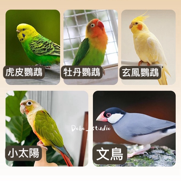 鳥我一下好嗎🍀鴨梨保暖窩 小寵物保暖窩 透氣睡窩 鸚鵡床 墊料 易拆洗 太平洋 牡丹 文鳥 鳥睡袋 倉鼠窩 鳥巢 造景-細節圖3