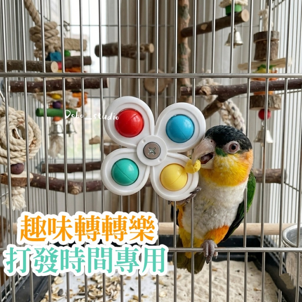 鳥我一下好嗎🍀旋轉滑珠小花 鎖頭轉轉樂 鸚鵡指尖陀螺 啃咬 抓握萌趣轉轉樂 鳥籠配件 籠邊玩具 鸚鵡抓握玩具 鸚鵡陀螺-細節圖3