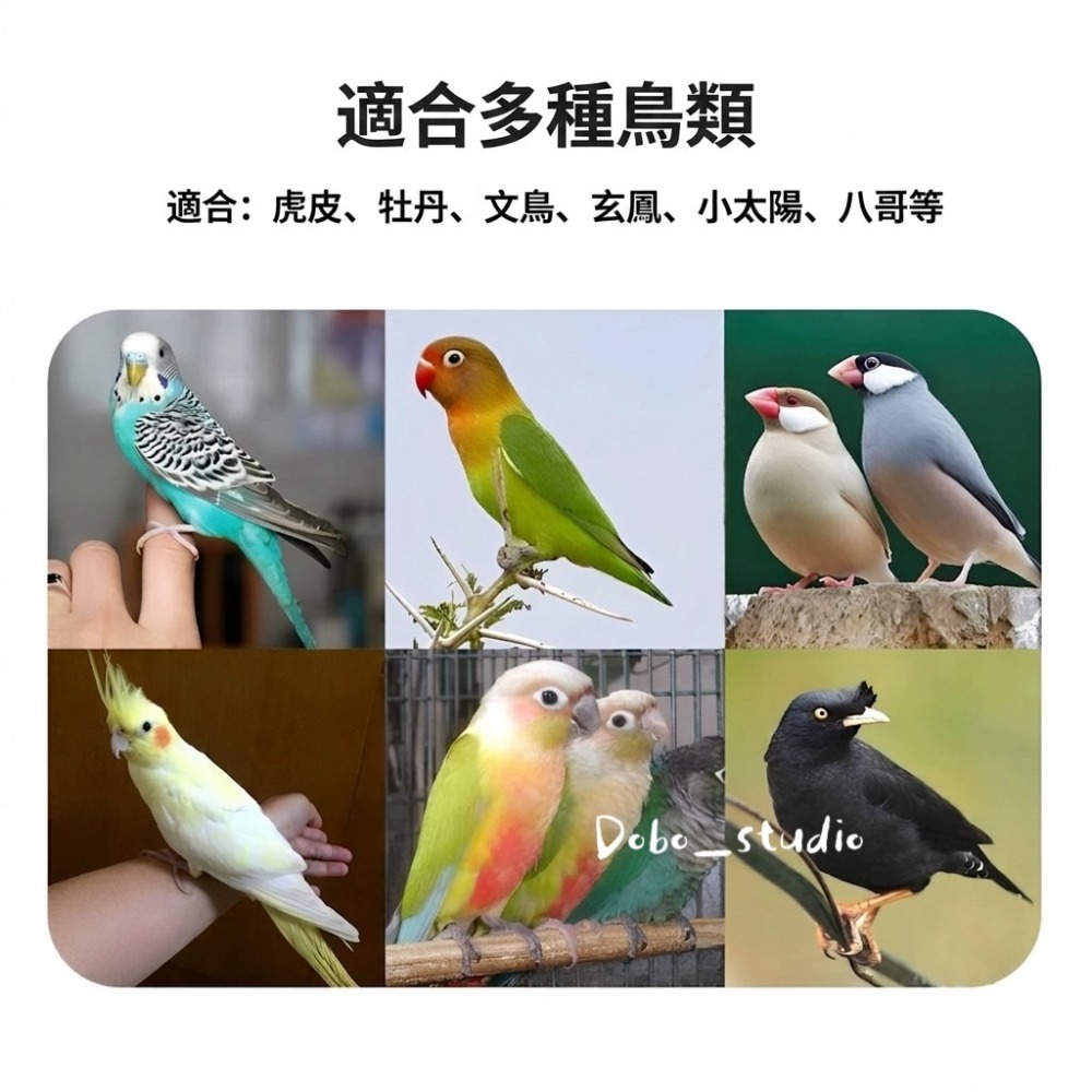 鳥我一下好嗎🍀夾式便便實木杆 鸚鵡大便定點站棍 鸚鵡垃圾桶站棍 鸚鵡定點排便 鸚鵡站棍 可拆卸鸚鵡站棍 客廳放風站棍-細節圖2