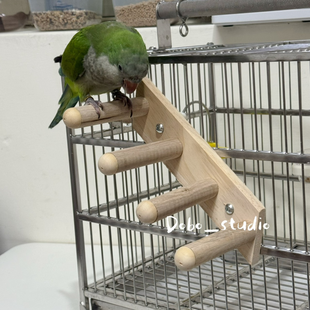 鳥我一下好嗎🍀鸚鵡四階木梯 鸚鵡木爬梯 四階樓梯 蜜袋鼯爬梯 四層木樓梯 鳥休息站棍 鸚鵡休息棲木 鸚鵡攀爬訓練站棍-細節圖4
