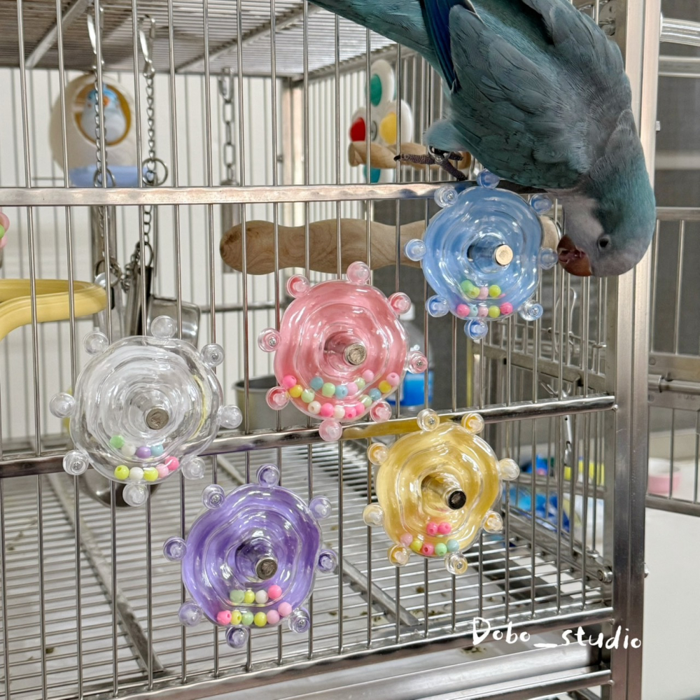 鳥我一下好嗎🍀趣味轉轉盤樂 鸚鵡小轉盤 鸚鵡旋轉玩具 發聲小滾珠 快速安裝 中小型鸚鵡 裝飾性鸚鵡玩具 不占空間玩具-細節圖2