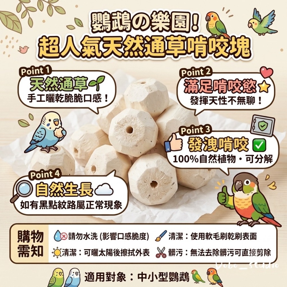 鳥我一下好嗎🍀啃咬通草塊 索拉球塊 鸚鵡用啃咬索拉塊 中小型鸚鵡發洩啃咬塊 索拉木珠 啃咬玩具 倉鼠啃咬 凱克鸚鵡玩具-細節圖3