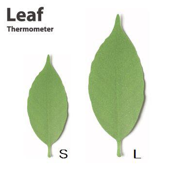現貨 【守夜鴞商行】 日本 h concept 恆溫計葉子 溫度 變色葉子 新奇 玩具-細節圖3