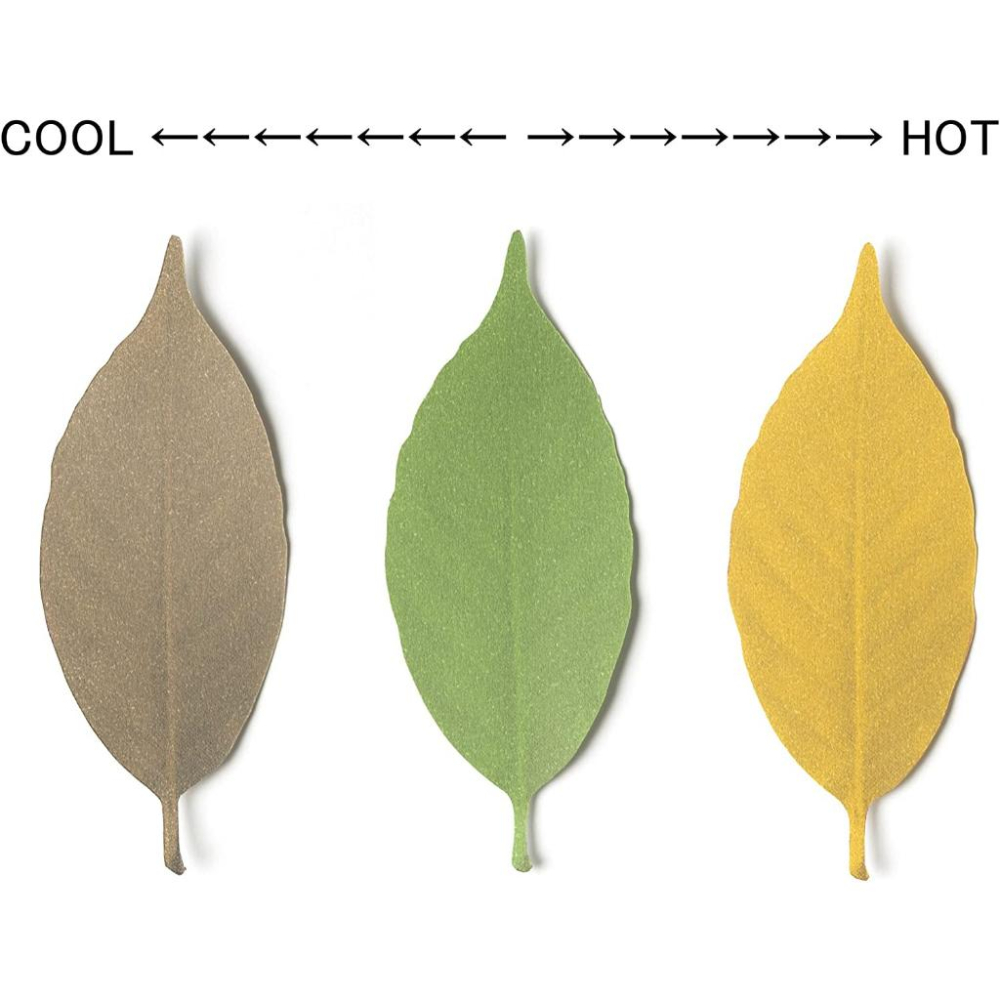 現貨 【守夜鴞商行】 日本 h concept 恆溫計葉子 溫度 變色葉子 新奇 玩具-細節圖4