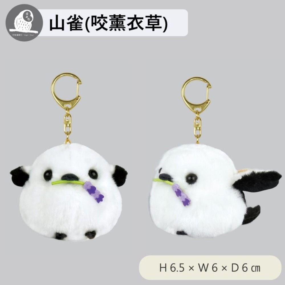 現貨【守夜鴞商行】日本正版 AMUFUN 長尾山雀 鑰匙圈 玩偶 吊飾 娃娃 小鳥 北海道 雪之妖精 送禮 amuse-細節圖7