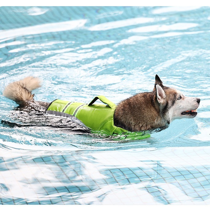 【毛孩夏季玩水出遊安全】狗狗游泳救生衣 高浮力 寵物救生衣 犬用救生衣 寵物泳衣 狗狗泳衣 狗背心 狗狗衣服-細節圖4