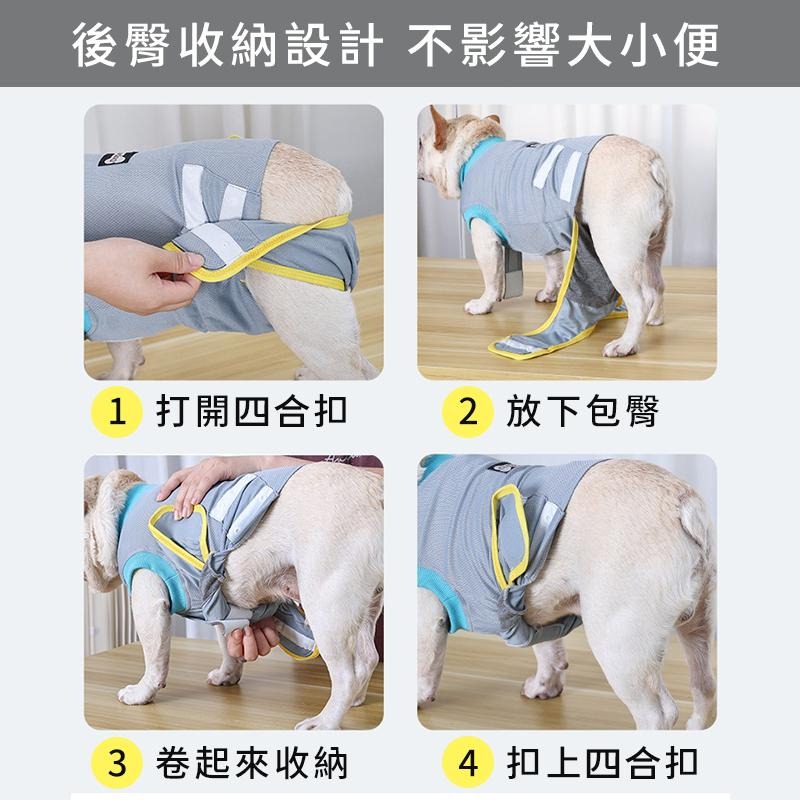 【台灣現貨】狗狗防舔衣 防舔服 術後恢復服 涼感透氣 狗狗結紥服 寵物傷口防舔防抓服 防舔圈 寵物衣服 狗衣服 康復服-細節圖4