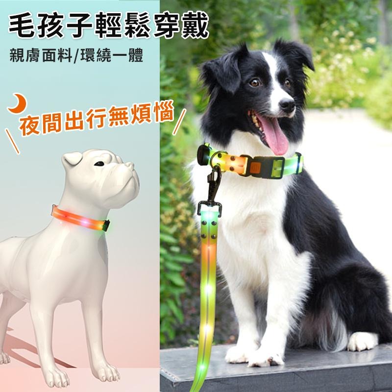 【夜間出行我最閃亮】寵物led發光項圈 狗狗發光項圈 寵物發光項圈 防水防咬夜間發光項圈 寵物項圈牽引繩 狗項圈牽繩-細節圖3
