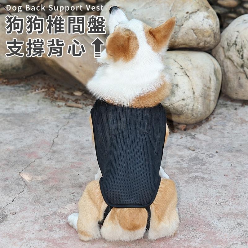 【台灣現貨】狗狗椎間盤支撐背心 寵物輔助 脊椎支撐背心 寵物背痛 關節炎 術後減緩疼痛背心  IVDD輔助護具 寵物衣服-細節圖2