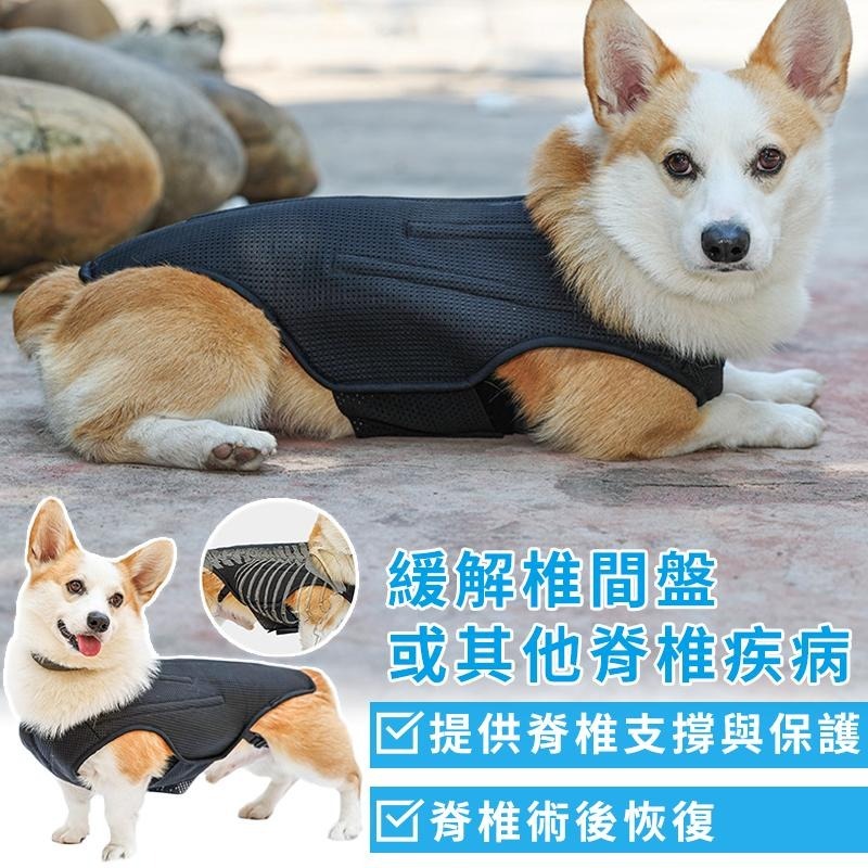 【台灣現貨】狗狗椎間盤支撐背心 寵物輔助 脊椎支撐背心 寵物背痛 關節炎 術後減緩疼痛背心  IVDD輔助護具 寵物衣服-細節圖5