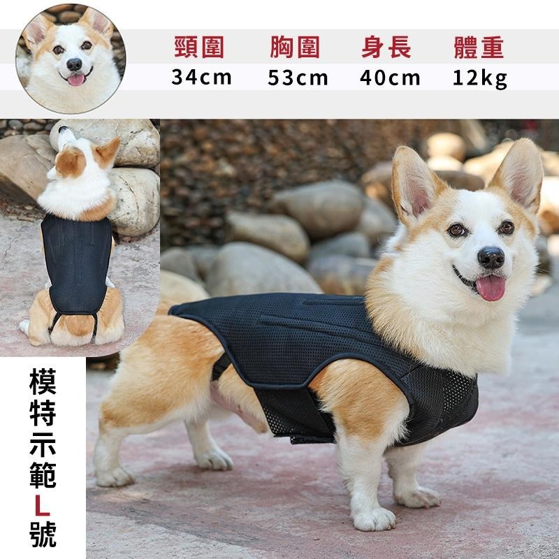 【台灣現貨】狗狗椎間盤支撐背心 寵物輔助 脊椎支撐背心 寵物背痛 關節炎 術後減緩疼痛背心  IVDD輔助護具 寵物衣服-細節圖8