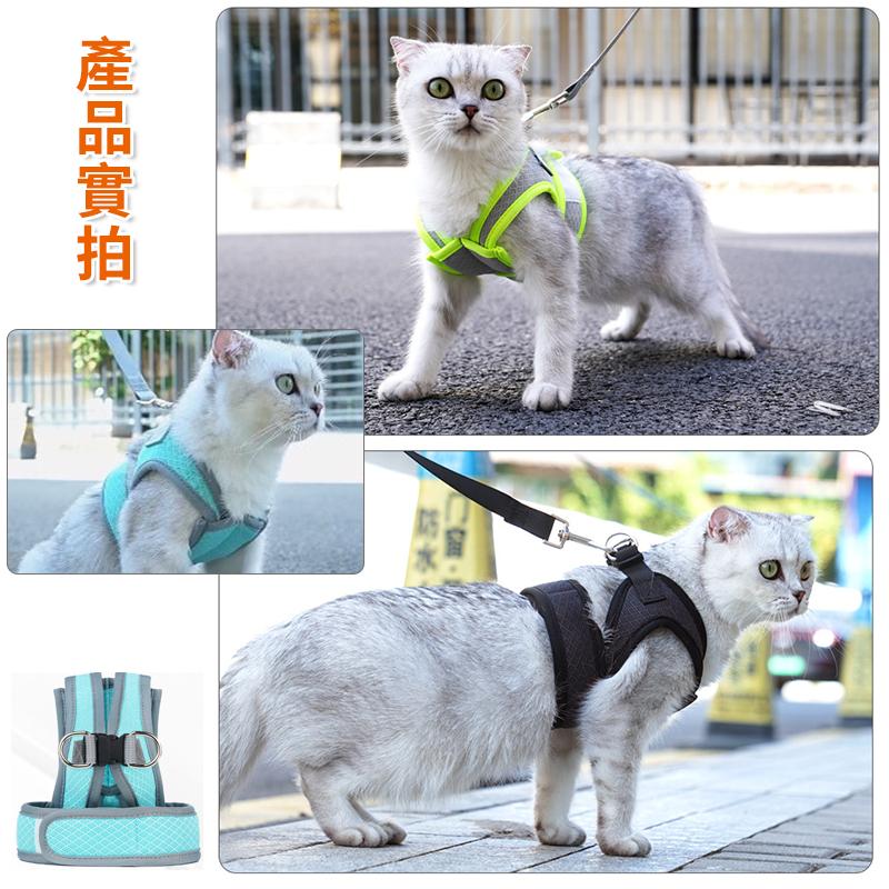 【雙重防掙脫】貓咪胸背帶 寵物外出牽引繩 貓咪牽繩 透氣胸背 貓咪外出繩 遛貓繩 貓牽繩 胸背帶 項圈牽繩 貓背心衣服-細節圖8