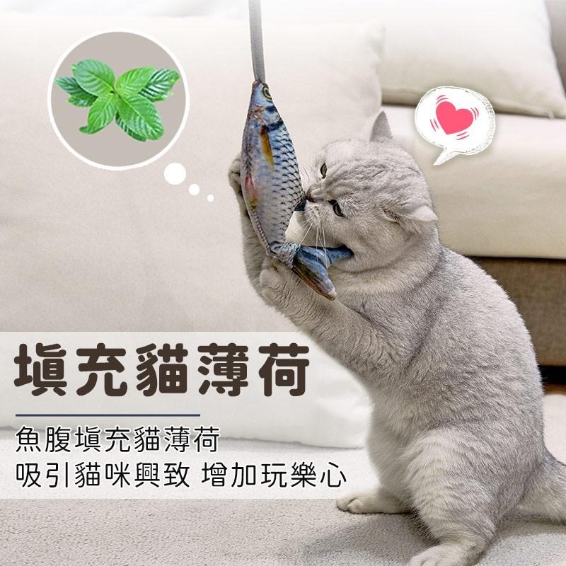 氣動式逗貓玩具 互動逗貓棒 逗貓棒 薄荷魚玩具 貓咪玩具 寵物玩具  逗貓玩具-細節圖5