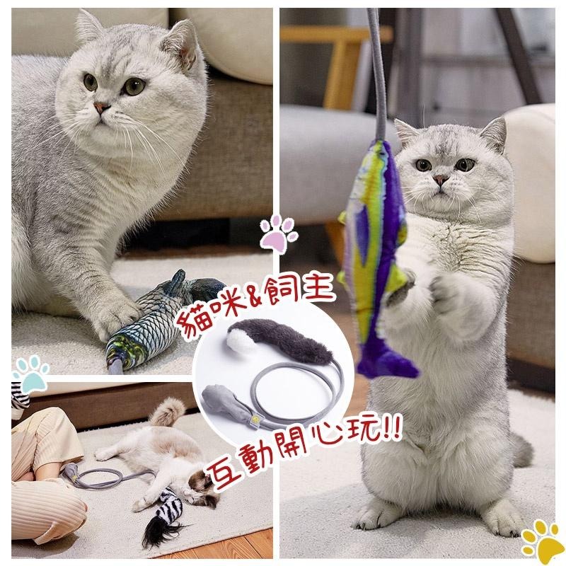 氣動式逗貓玩具 互動逗貓棒 逗貓棒 薄荷魚玩具 貓咪玩具 寵物玩具  逗貓玩具-細節圖7