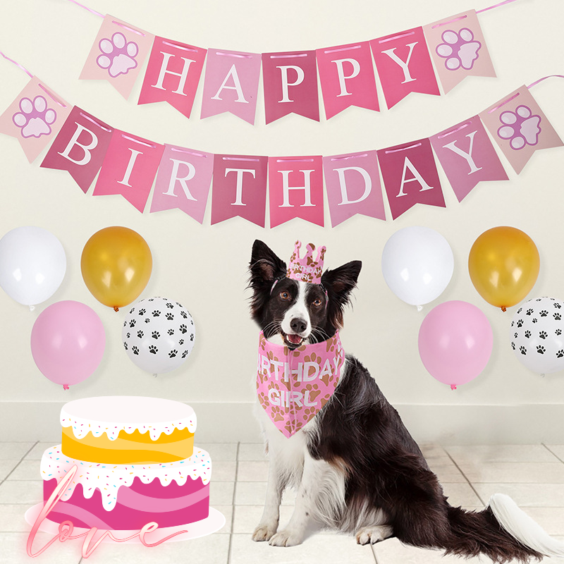 【寵物慶生派對】寵物生日 佈置 寵物生日套裝 生日佈置 寵物生日帽 生日領巾 生日佈置 貓狗生日領巾 寵物生日派對-細節圖3