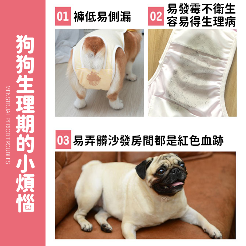 【輕薄透氣】寵物護墊 衛生棉 寵物護墊 狗狗衛生棉 狗護墊 狗尿布 寵物生理褲 狗生理期衛生棉 狗禮貓帶 護墊-細節圖2