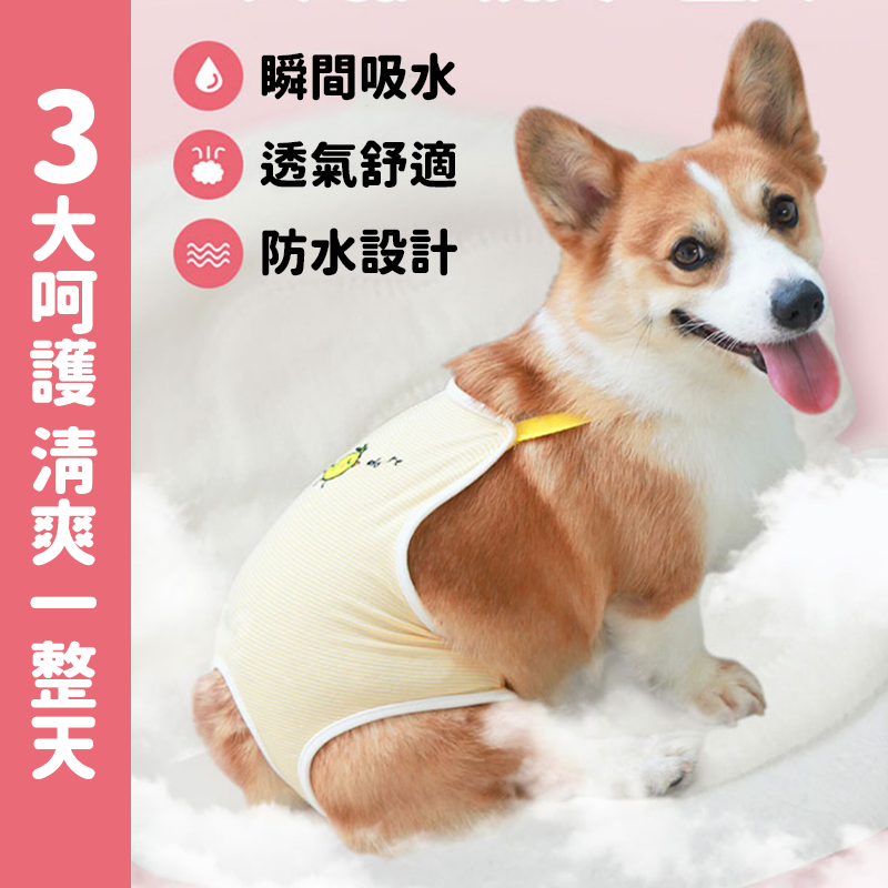 【輕薄透氣】寵物護墊 衛生棉 寵物護墊 狗狗衛生棉 狗護墊 狗尿布 寵物生理褲 狗生理期衛生棉 狗禮貓帶 護墊-細節圖3