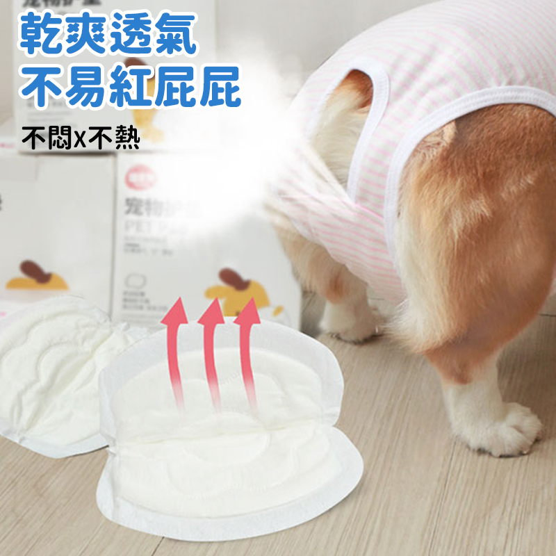 【輕薄透氣】寵物護墊 衛生棉 寵物護墊 狗狗衛生棉 狗護墊 狗尿布 寵物生理褲 狗生理期衛生棉 狗禮貓帶 護墊-細節圖6