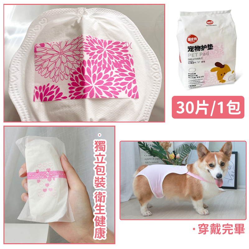 【輕薄透氣】寵物護墊 衛生棉 寵物護墊 狗狗衛生棉 狗護墊 狗尿布 寵物生理褲 狗生理期衛生棉 狗禮貓帶 護墊-細節圖7