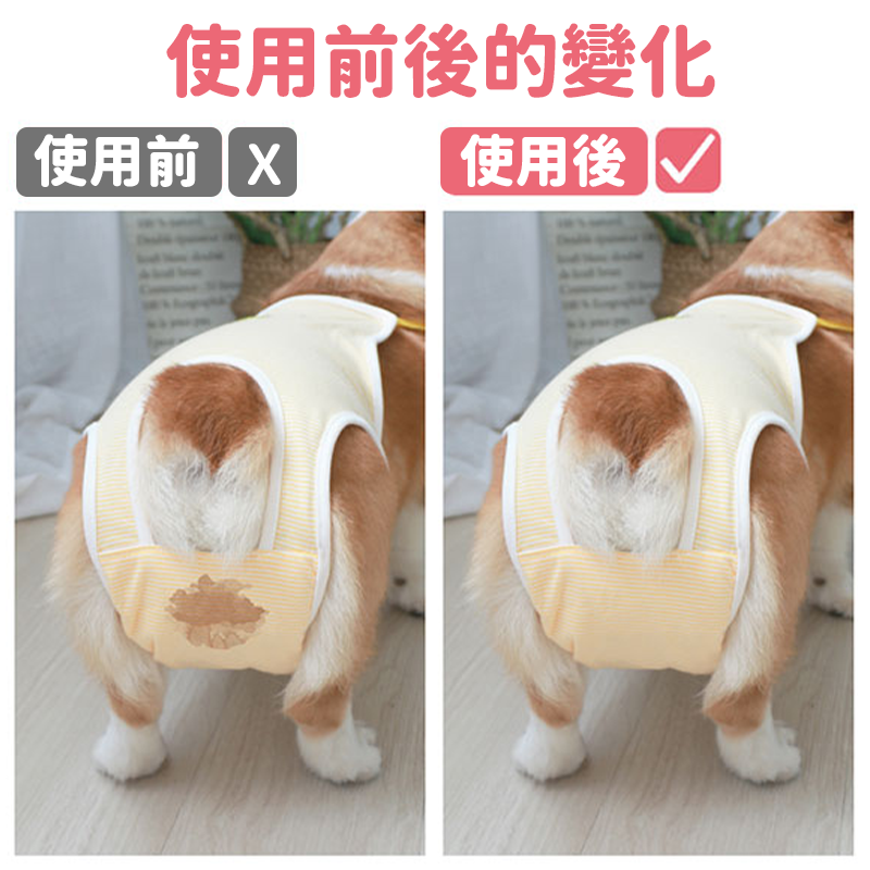 【輕薄透氣】寵物護墊 衛生棉 寵物護墊 狗狗衛生棉 狗護墊 狗尿布 寵物生理褲 狗生理期衛生棉 狗禮貓帶 護墊-細節圖8